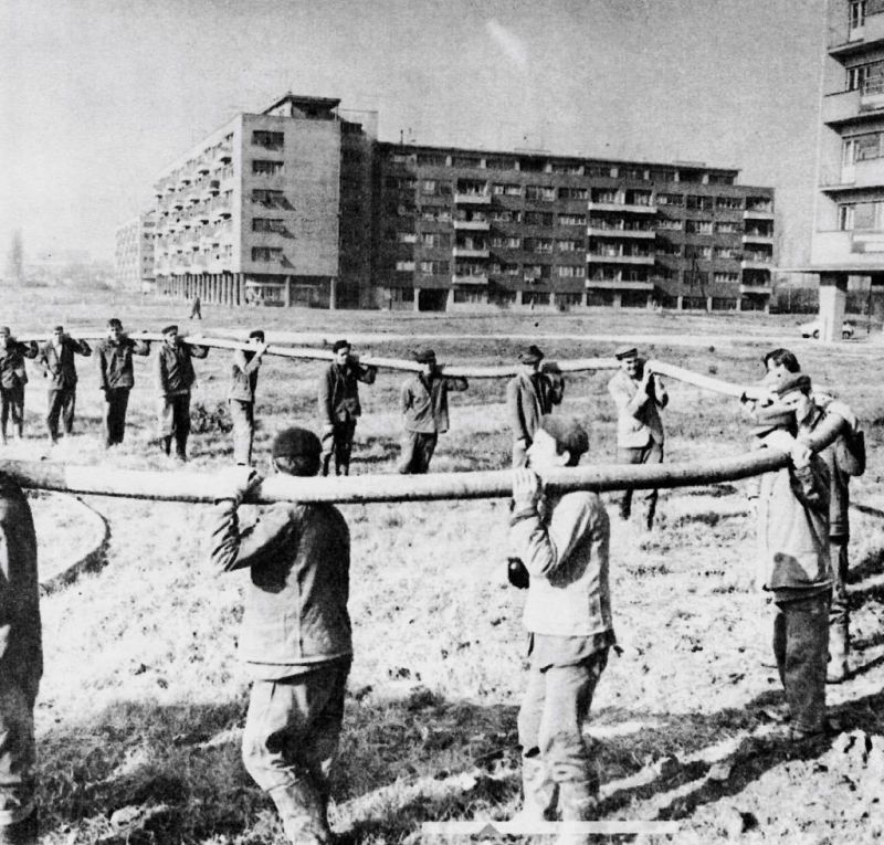 Avenija Marina Držića 1966. godine, polaganje telefonskog kabela